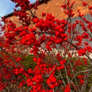 Meet your Posher, Jack